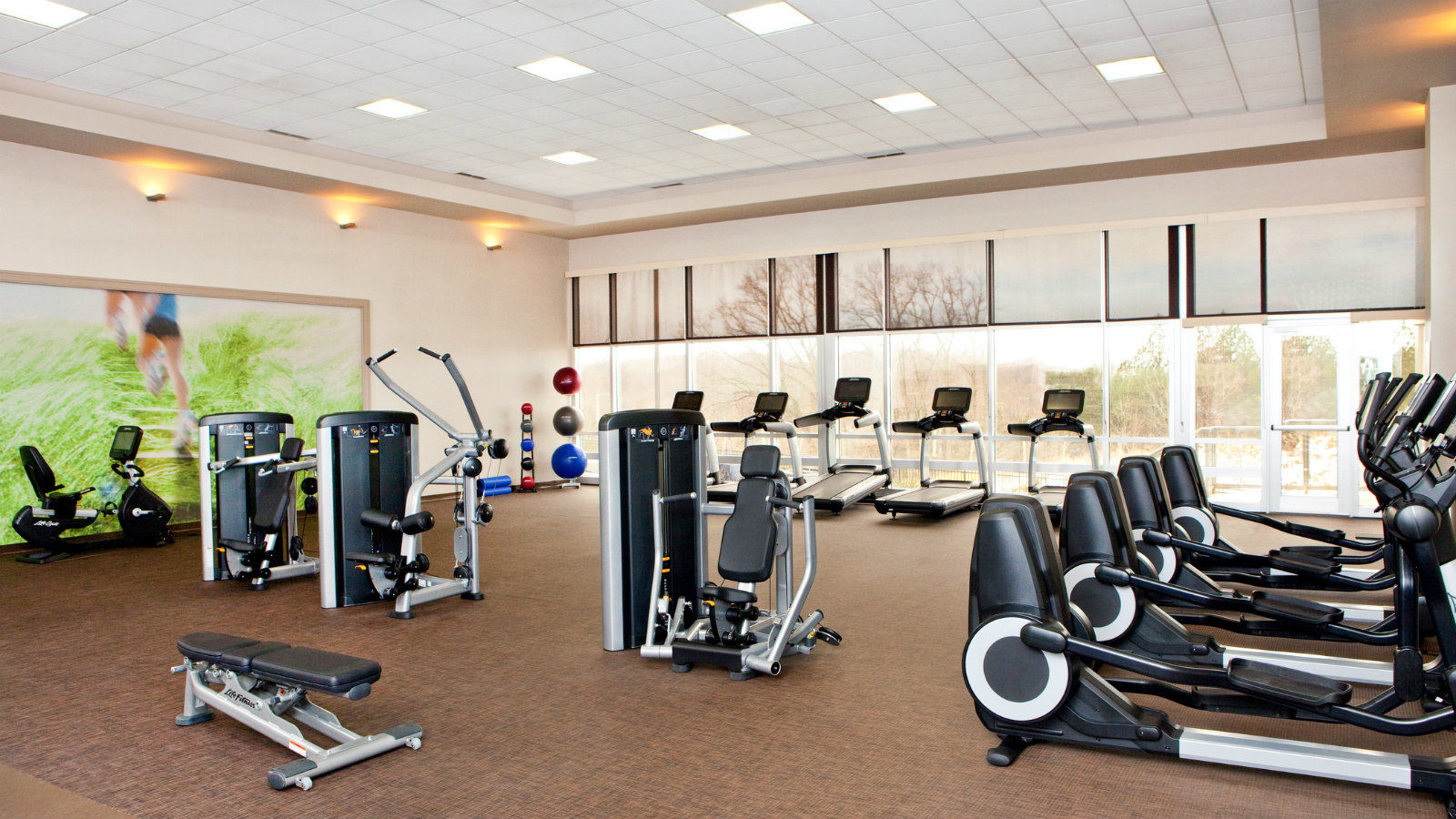 The Westin Baltimore Washington Airport - BWI Linthicum Faciliteter billede